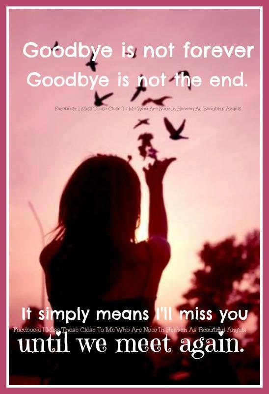 Till We Meet Again Quotes Quotesgram Till We Meet Again Quotes Quotesgram