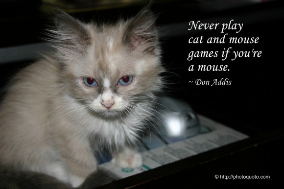 Cat And Mouse Quotes. QuotesGram