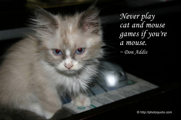 Cat And Mouse Quotes Quotesgram Cat And Mouse Quotes Quotesgram