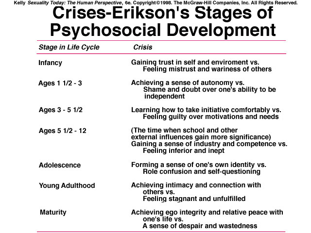 how erik erikson did described the how erik erikson did described the