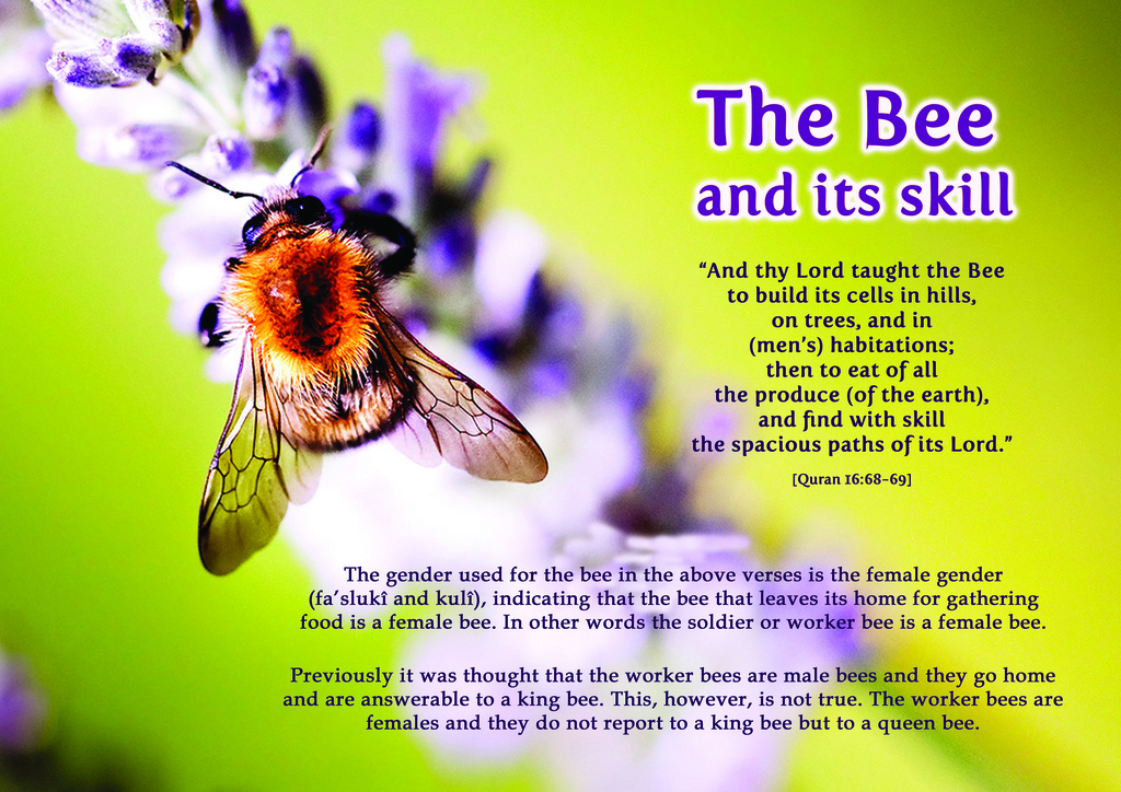 Honey Bee Educational Quotes. QuotesGram
