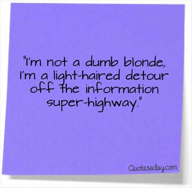  Funny Blonde Quotes  Check it out now 