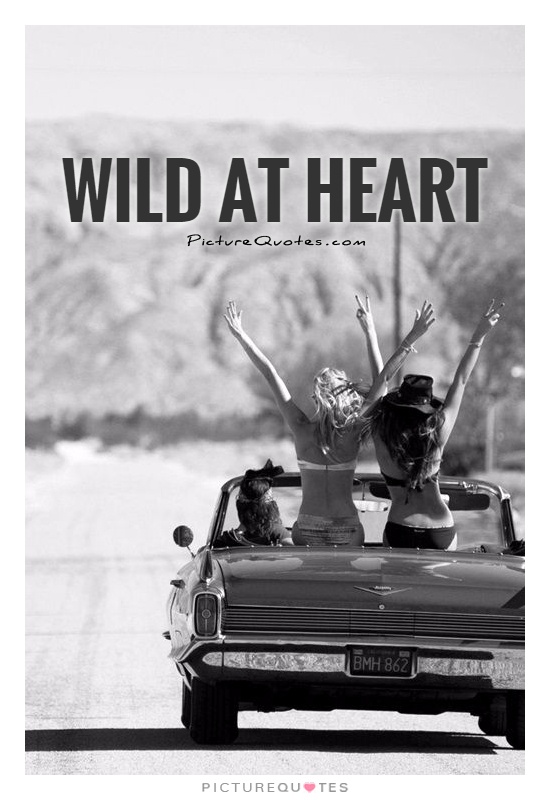 wild at heart film set south africa wild at heart film set south africa