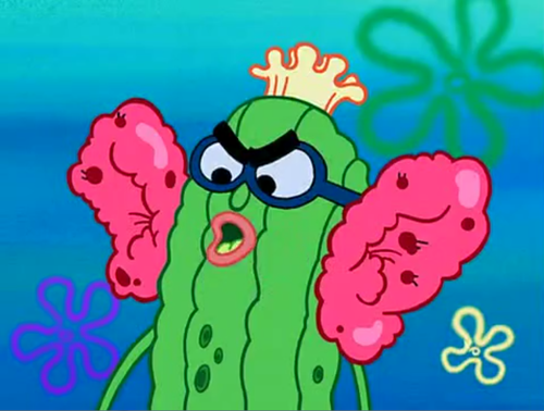 The Sea Cucumber Kevin Quotes.