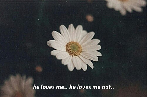 Flower Love Not Hate Quotes Quotesgram Flower Love Not Hate Quotes Quotesgram
