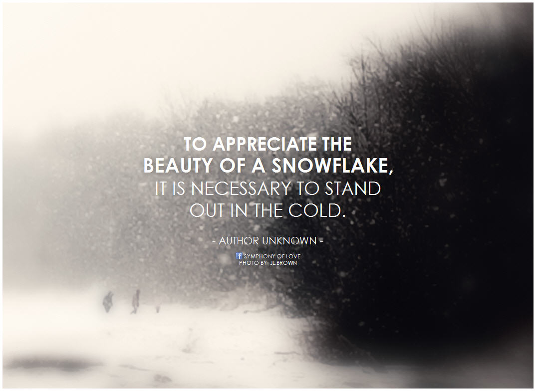 Snowflake Quotes About Life. QuotesGram