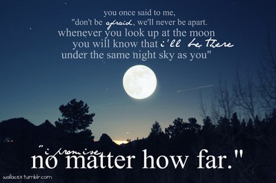 Under The Same Sky Quotes Quotesgram