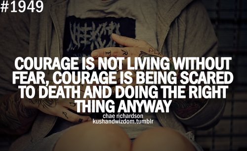 Funny Quotes About Fear QuotesGram