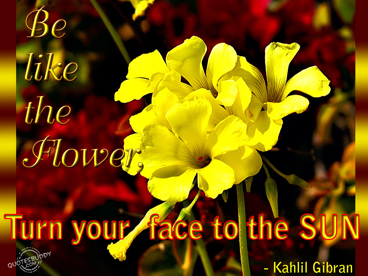 Springtime Quotes Inspirational. QuotesGram