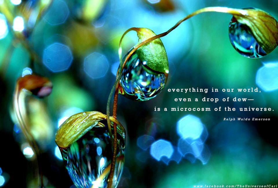 Droplets Water Quotes Quotesgram Droplets Water Quotes Quotesgram