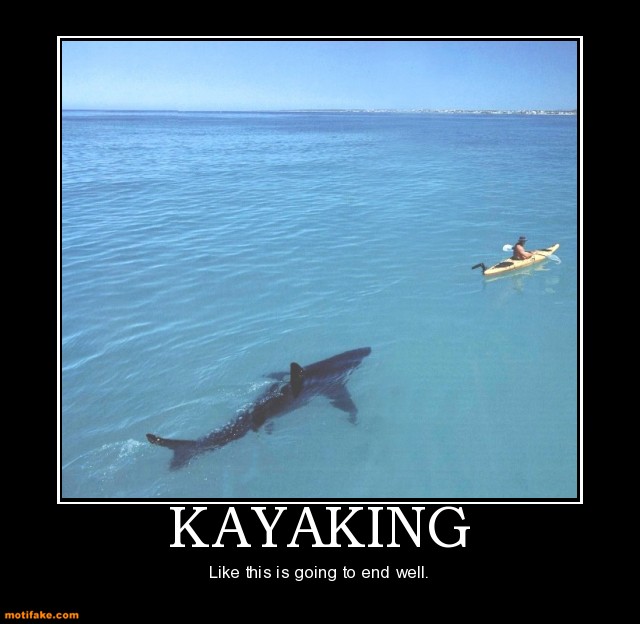 Shark Motivational Quotes. QuotesGram