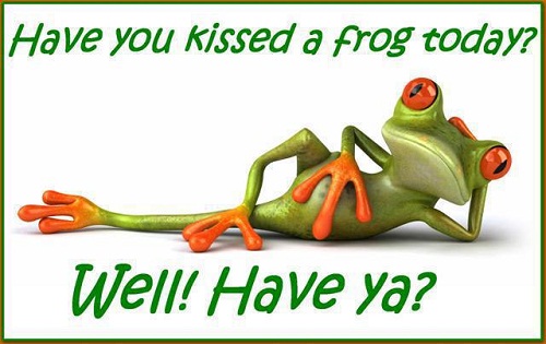 Quotes About Kissing Frogs Quotesgram