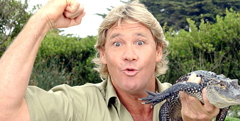 Steve Irwin Crikey Quotes. QuotesGram