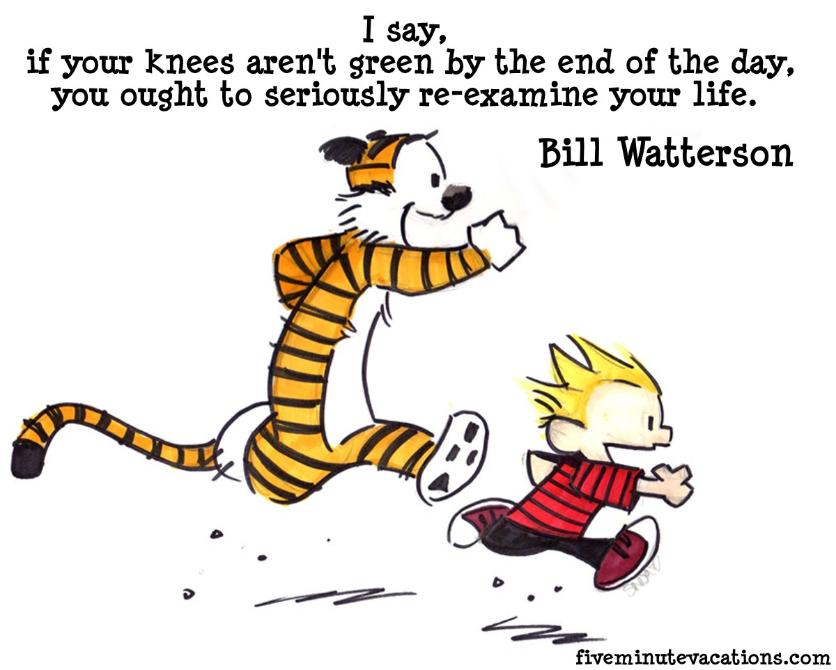 Calvin And Hobbes Birthday Quotes Quotesgram