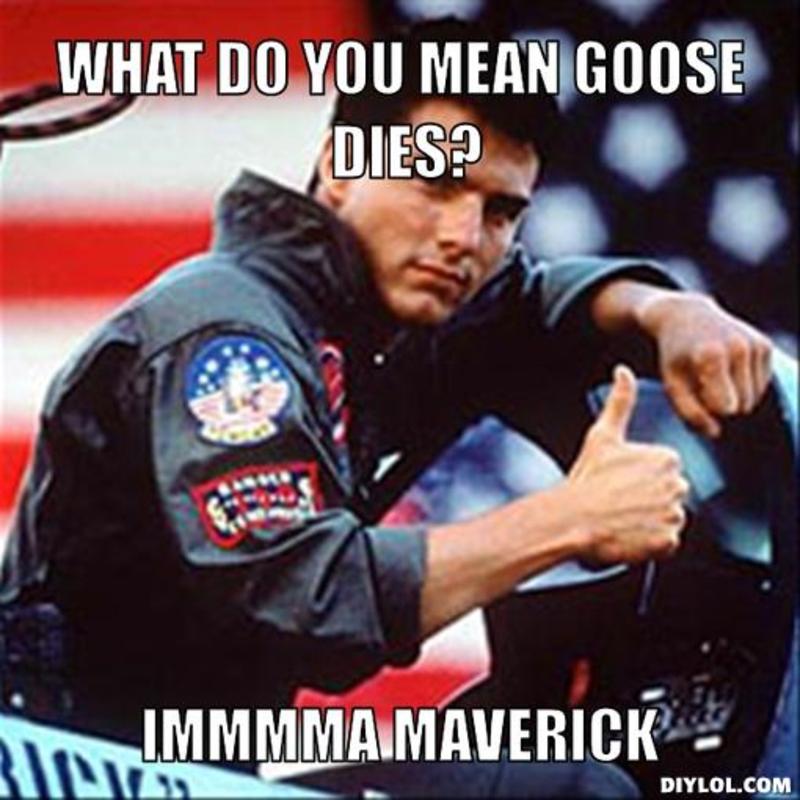 Goose And Maverick Quotes Quotesgram