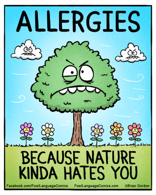 Spring Funny Allergy Quotes.