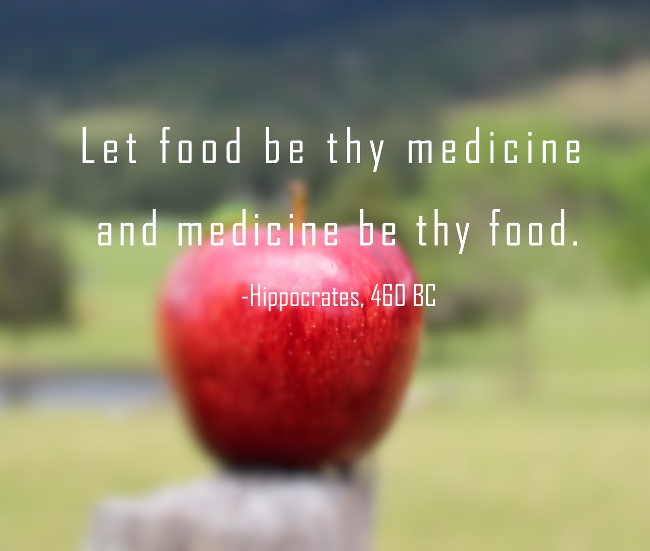 Dietetic Hippocrates Quotes QuotesGram dietetic-hippocrates-quotes-quotesgram