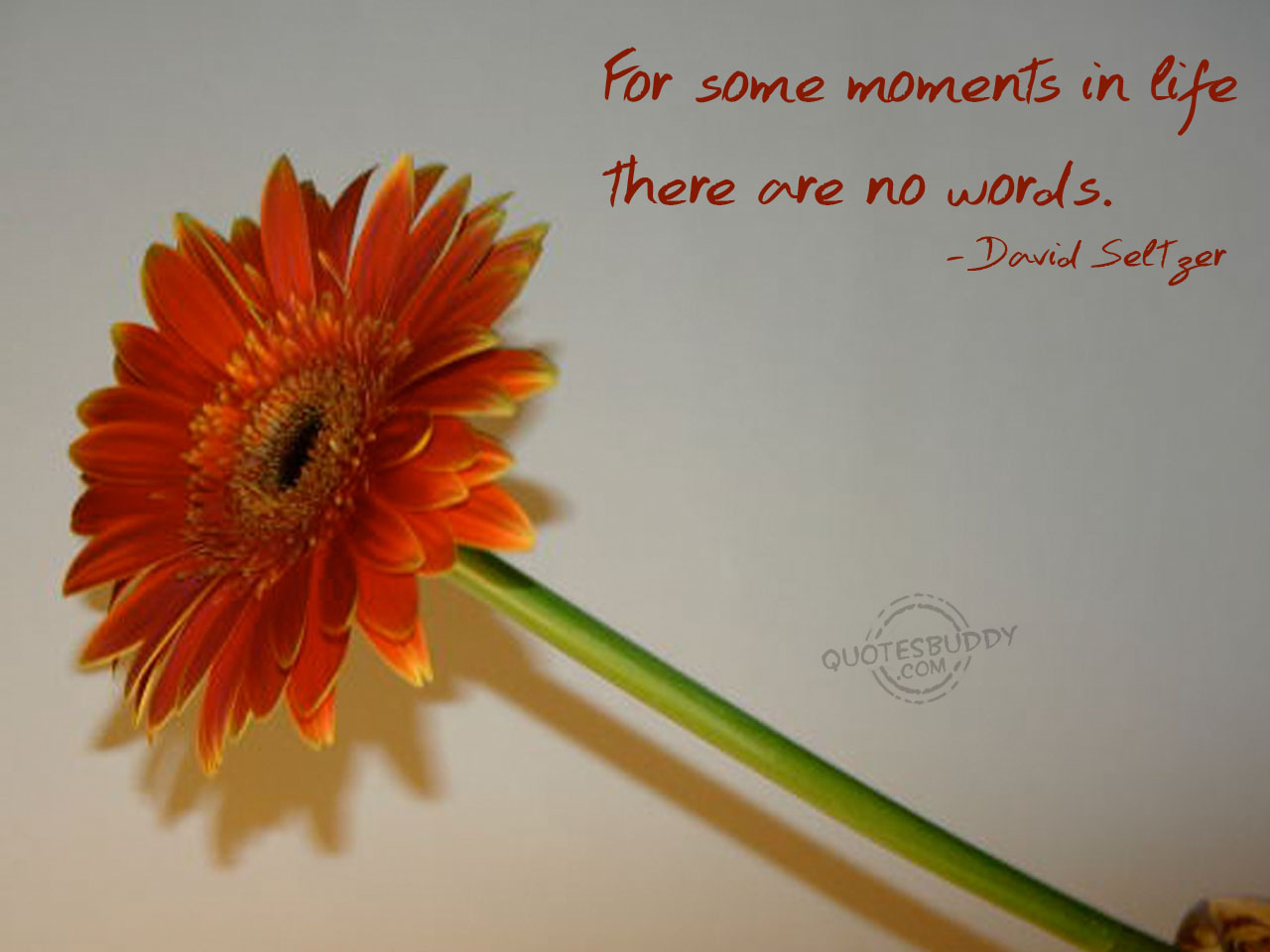 There Are No Words Quotes QuotesGram there-are-no-words-quotes-quotesgram