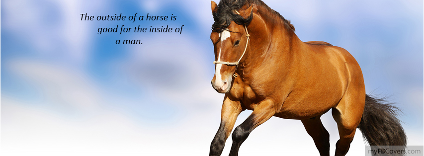 Winston Churchill Horse Quotes. QuotesGram Winston Churchill Horse Quotes. QuotesGram