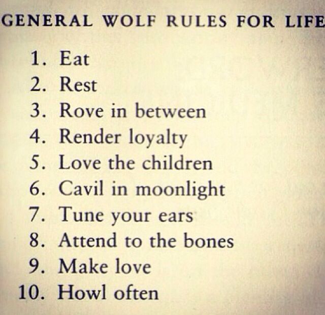Inspirational Wolf Quotes. QuotesGram