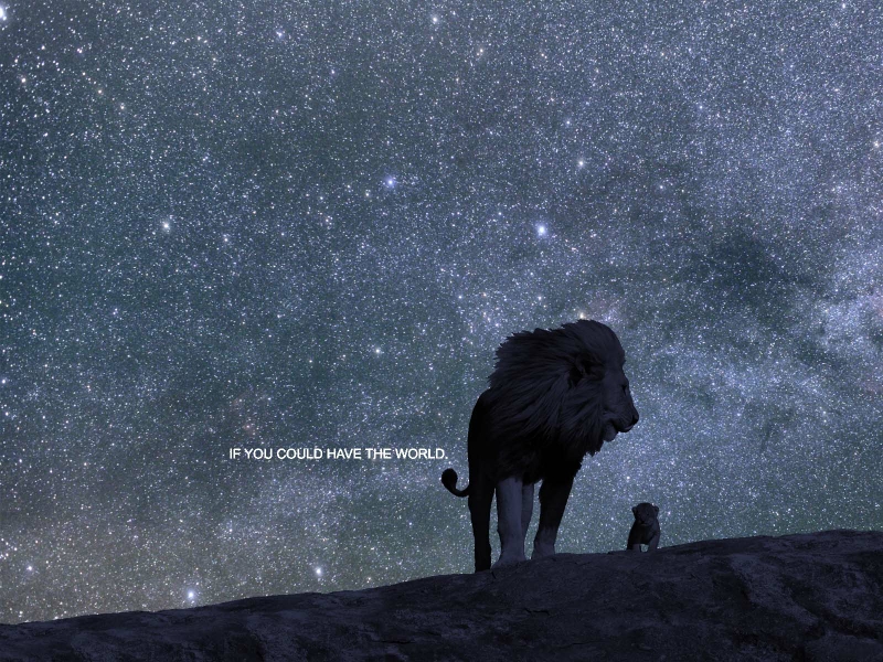 Lion Spirit Quotes. QuotesGram