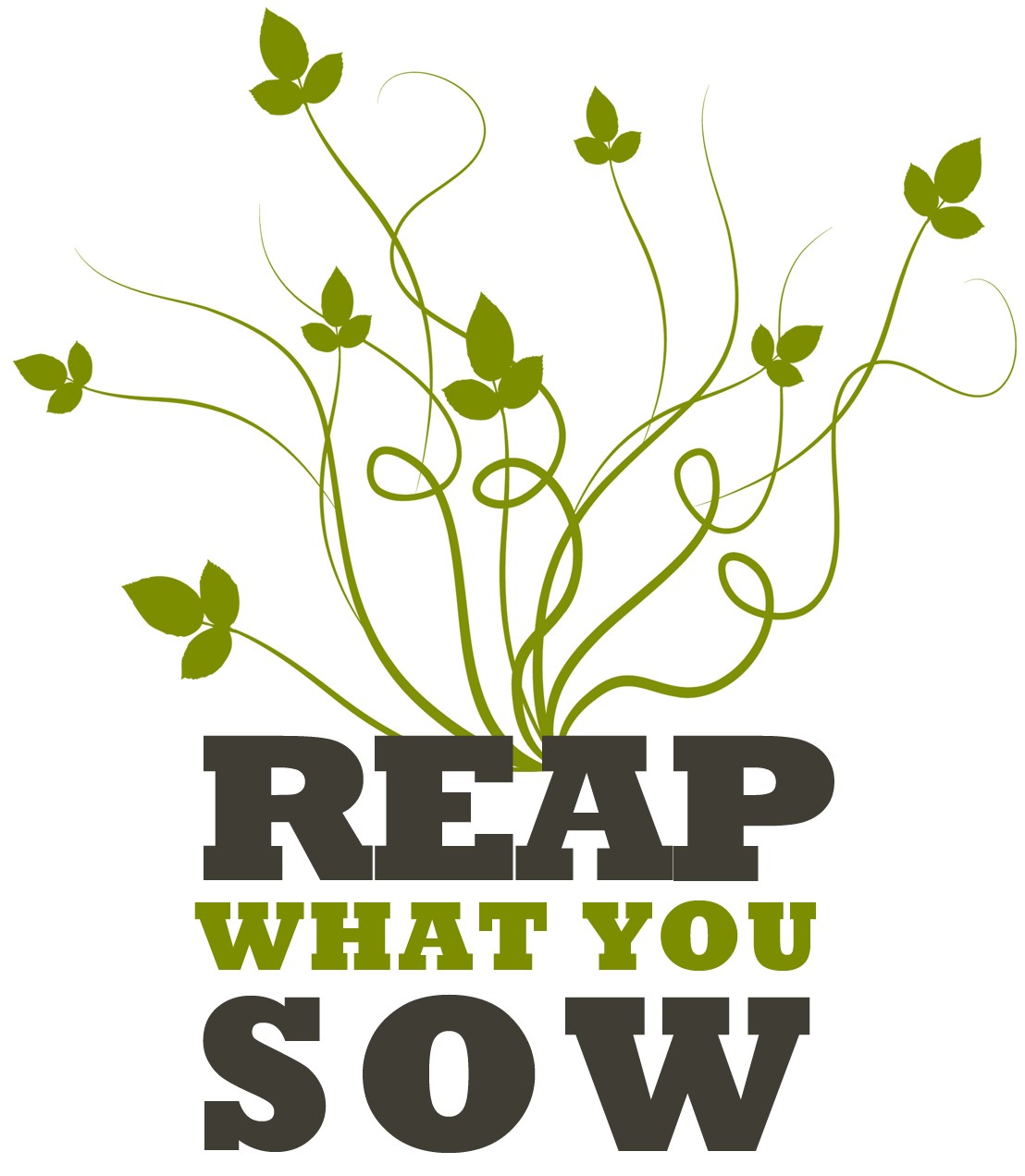 Rip What You Sow Quotes. QuotesGram