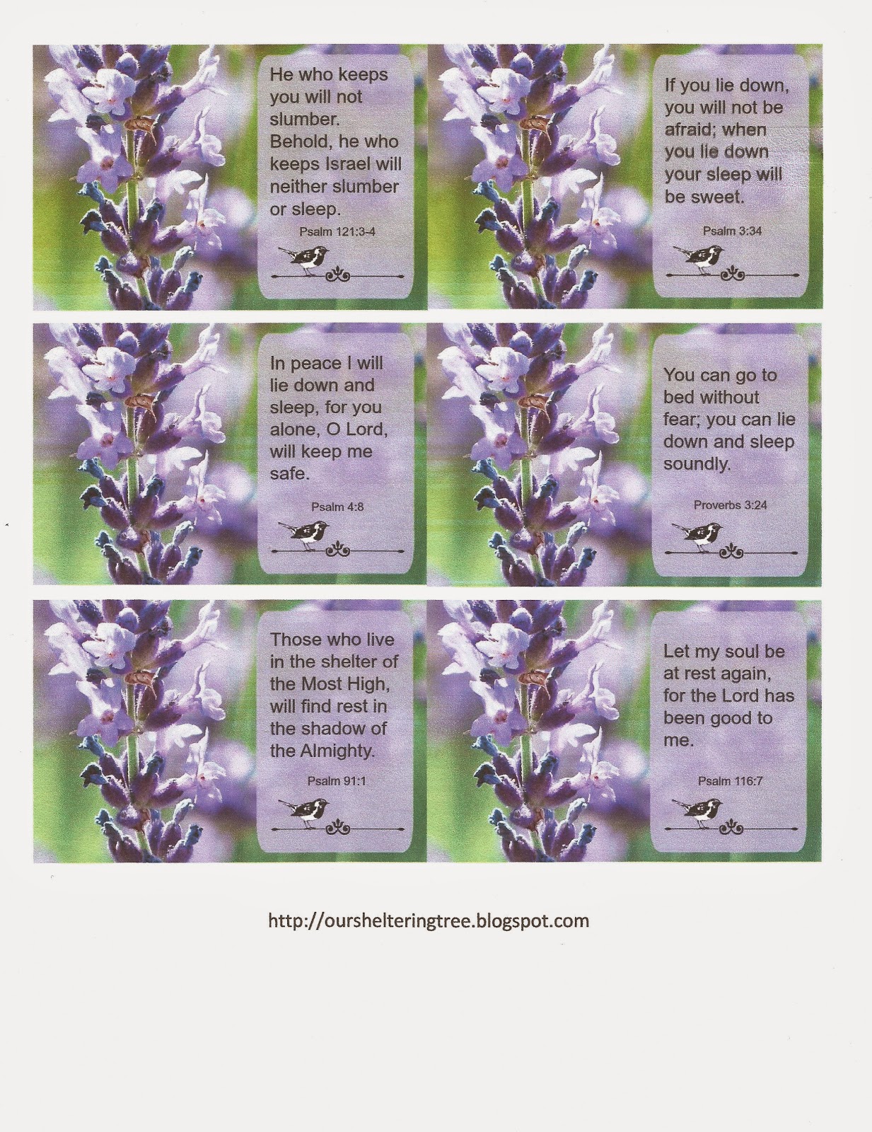 Bible Quotes About Homelessness