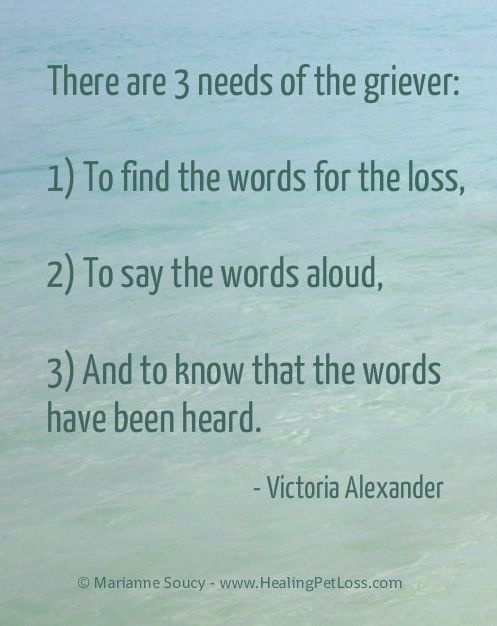 How To Get Over The Loss Of A Pet Dog How To Get Over The Loss Of A Pet Dog