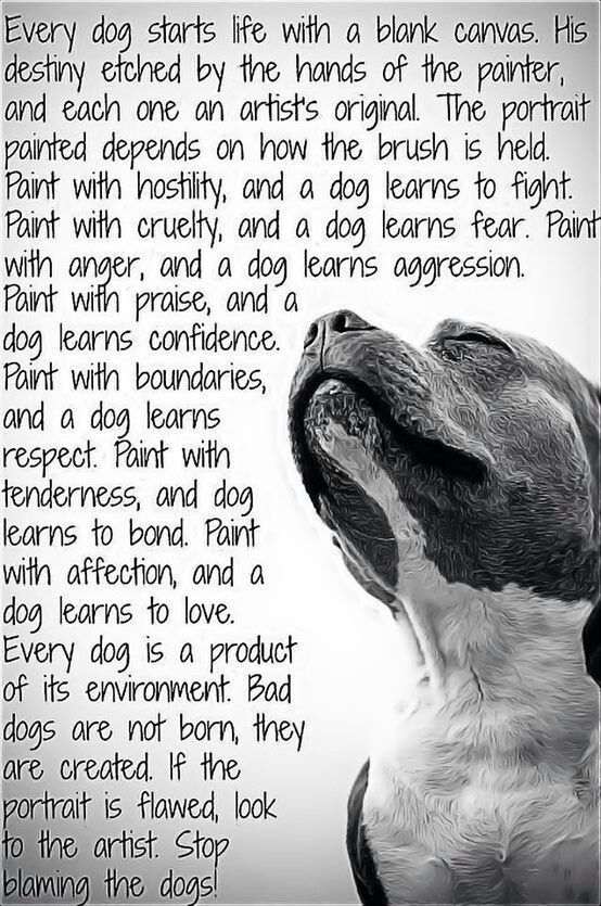 Good Quotes About Dogs Dying QuotesGram good-quotes-about-dogs-dying-quotesgram