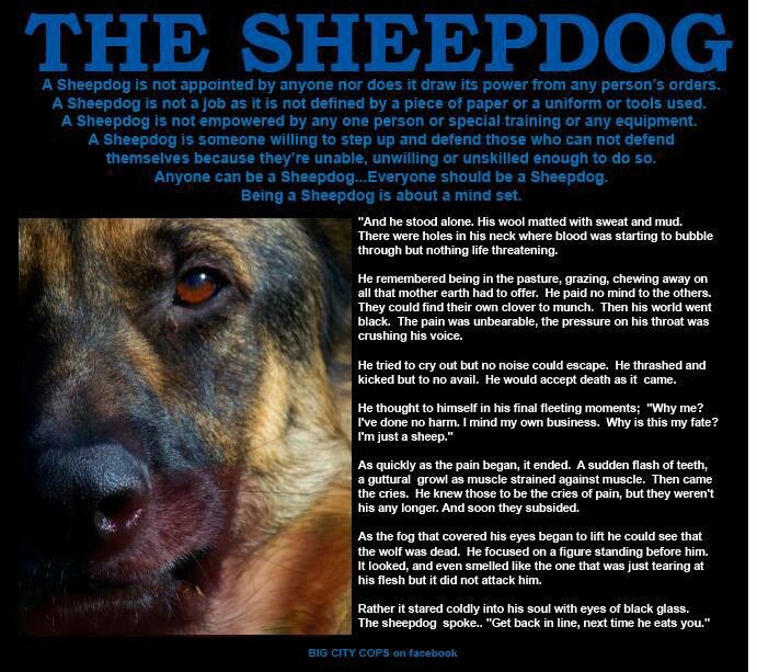 Sheepdog Quotes Quotesgram