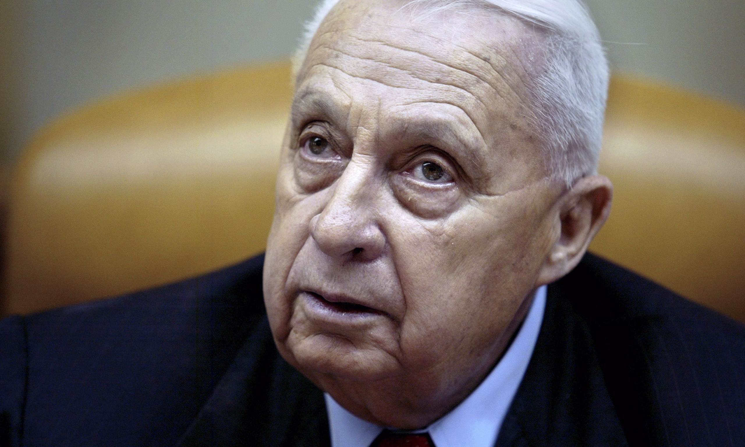 Ariel Sharon Quotes Famous Quotesgram