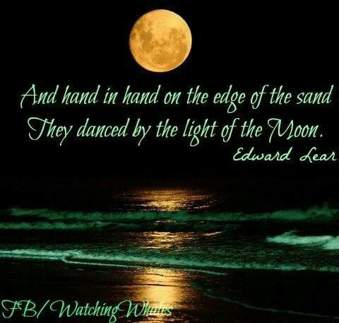 Under The Same Moon Quotes Quotesgram Under The Same Moon Quotes Quotesgram