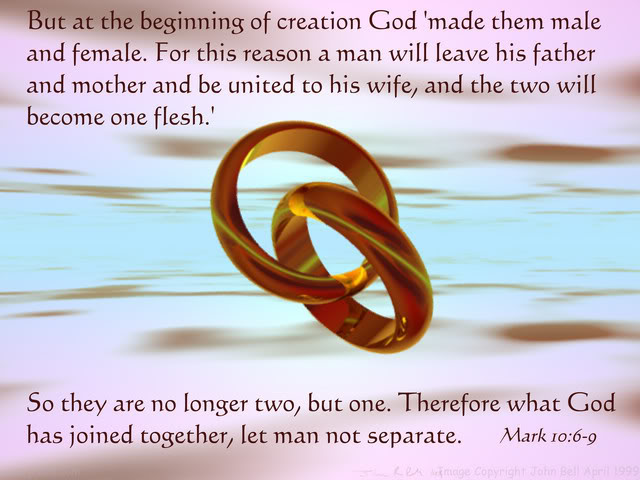 Two Families Become One Quotes Quotesgram Two Families Become One Quotes Quotesgram