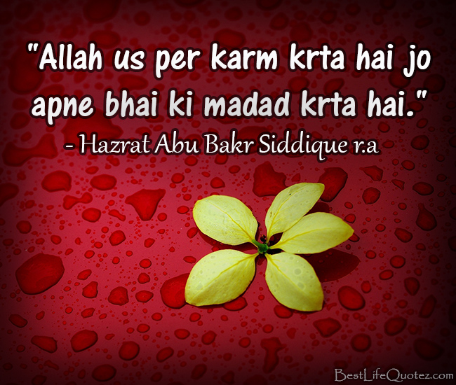 Hazrat Ali Quotes Hindi. QuotesGram