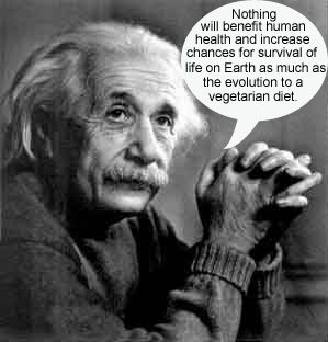 Vegan Quotes Einstein. QuotesGram