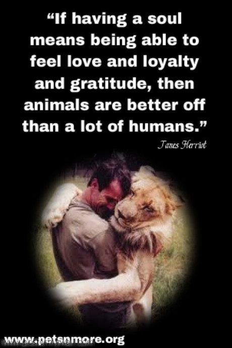 People Who Love Animals Quotes. QuotesGram