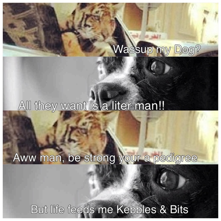 Funny Quotes About March Madness