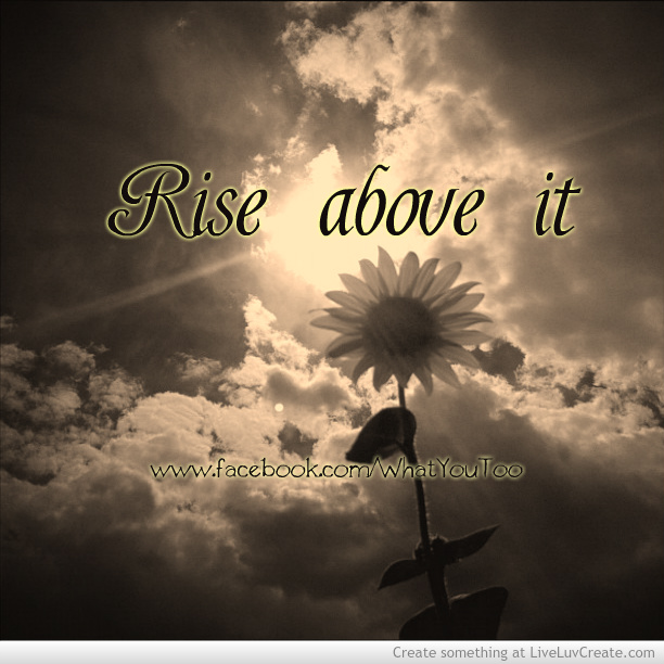 Funny Quotes Rise Above It. QuotesGram