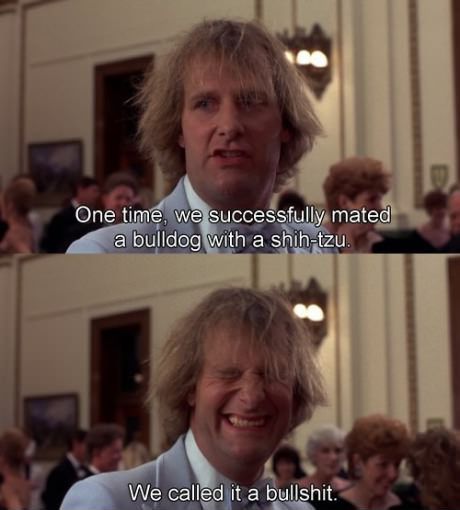 Funny Dumb And Dumber Quotes Quotesgram