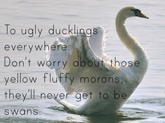 Ugly Duckling Quotes QuotesGram