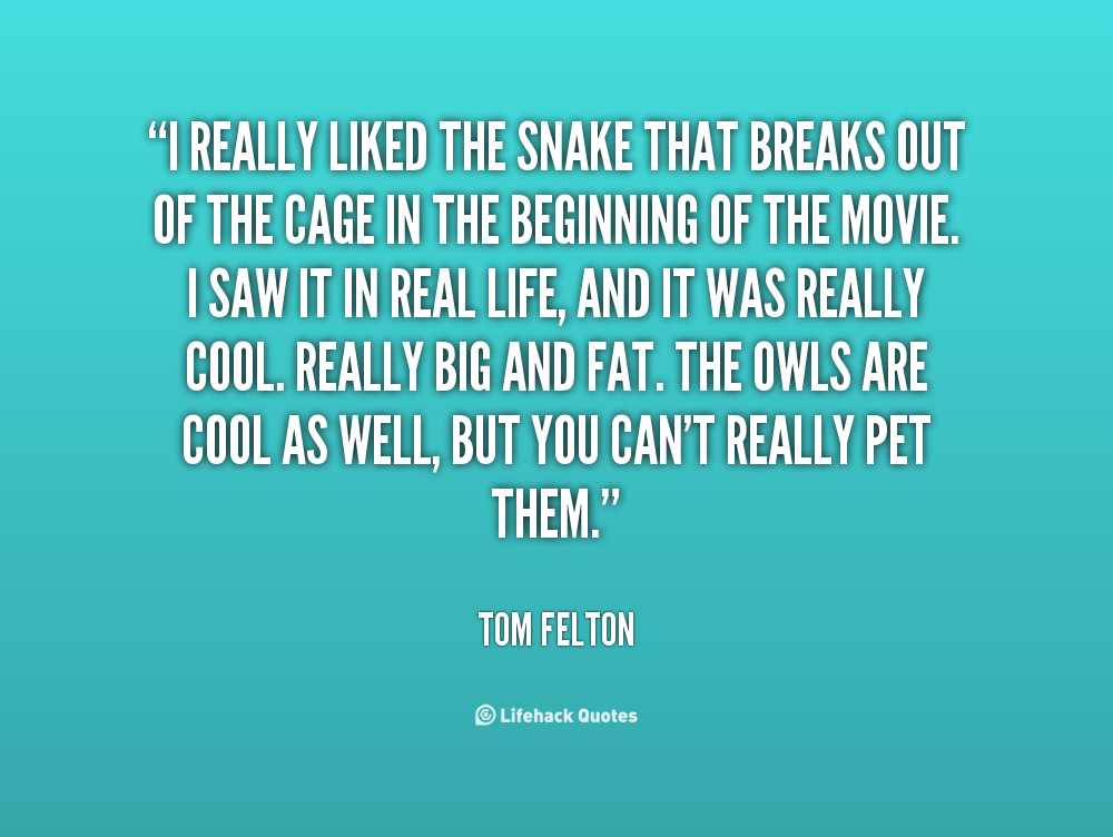 Quotes About Snake Friends. QuotesGram