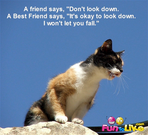 Friends Let You Down Quotes. QuotesGram