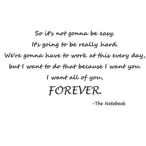 The Notebook Quotes I Want You Forever The Notebook Quotes. Quotesgram