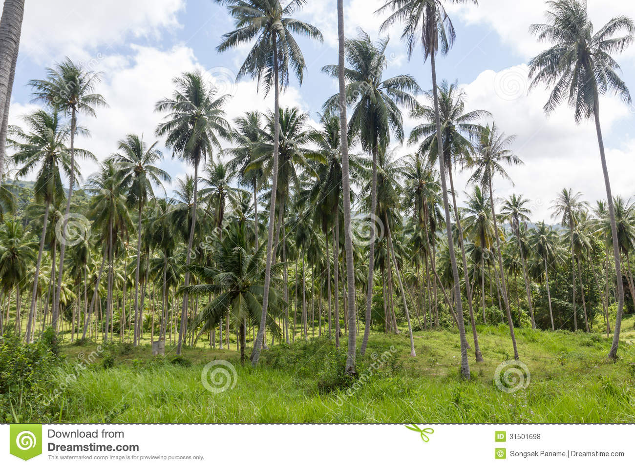 Quotes On Tree Plantation. QuotesGram