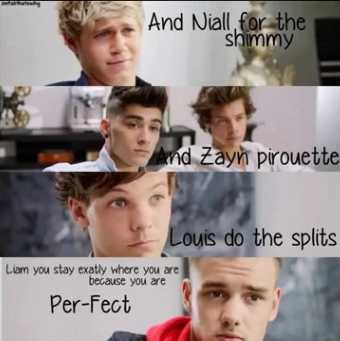 One Direction Fan Quotes. QuotesGram