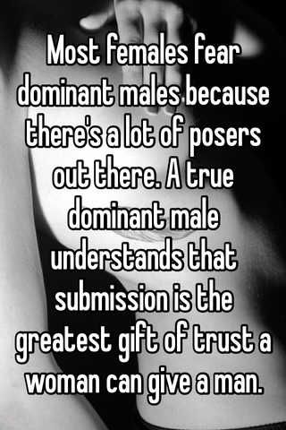 Dominant Male