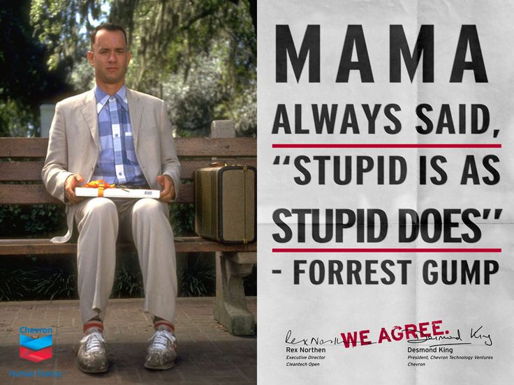 stupid-movie-quotes-quotesgram