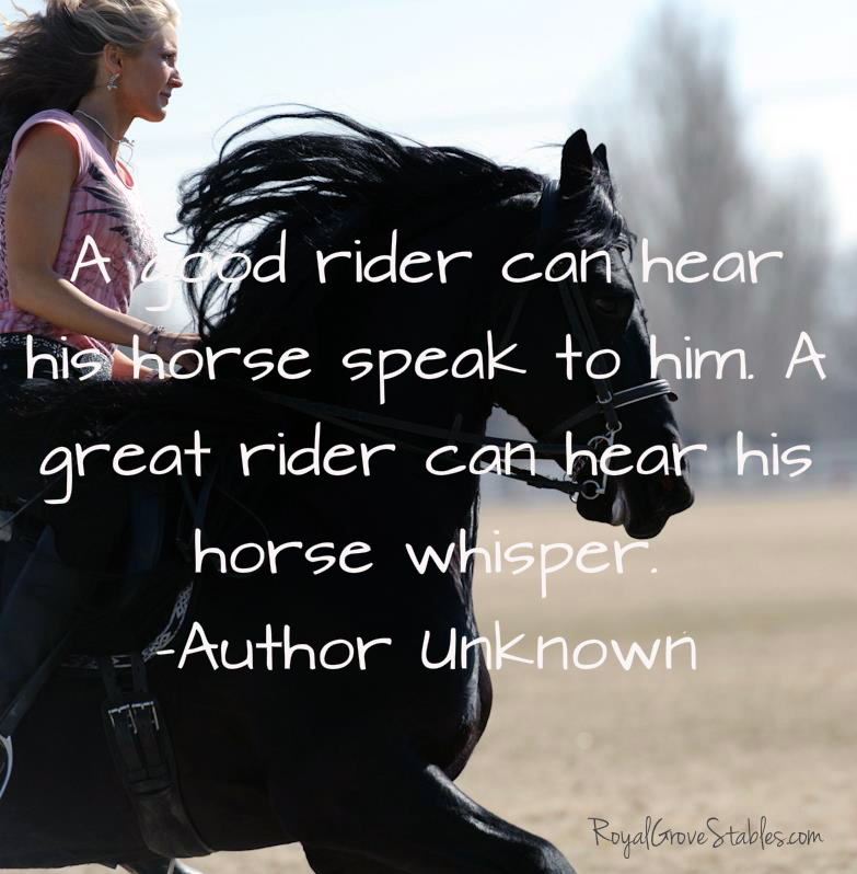 Horse And Rider Bond Quotes. QuotesGram