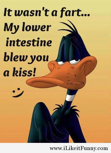 Daffy Duck Famous Quotes. QuotesGram