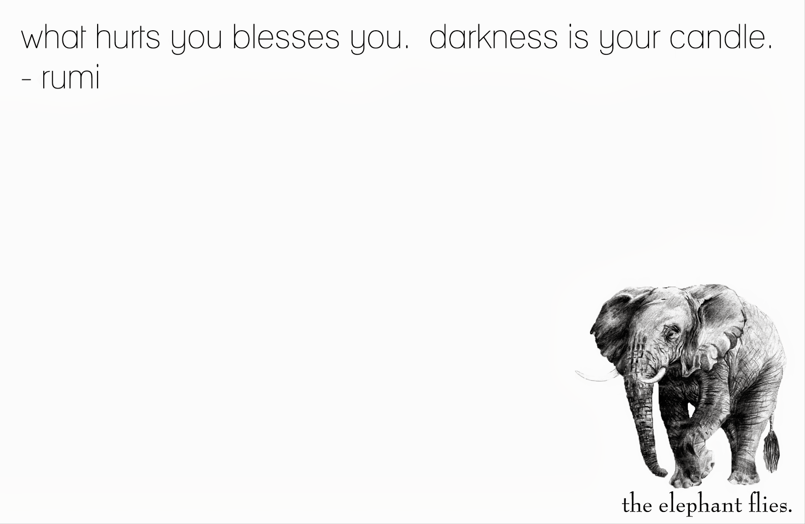 Elephant Friendship Quote 6